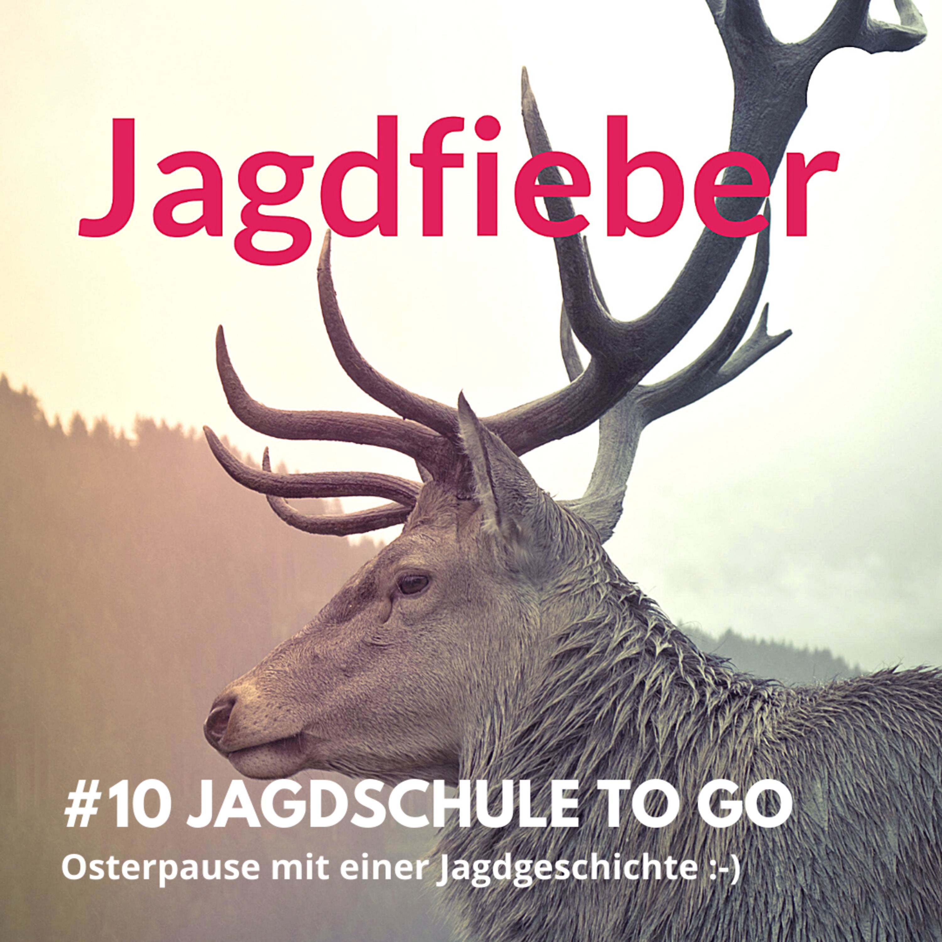 #10 Lernpause mit der Löns Geschichte "Haidfrühling" #jagdfieberpodcast #ostern #jagdschuletogo #jagdhandwerk #sachsenjägerin