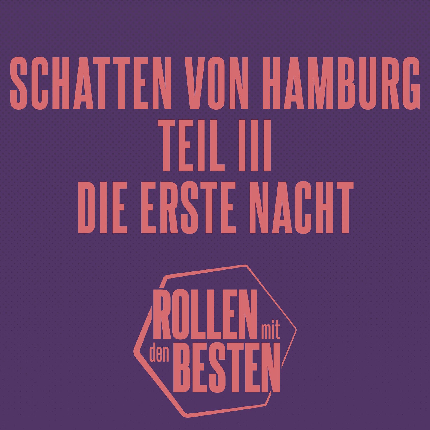 Schatten von Hamburg: Die erste Nacht (Teil 3)