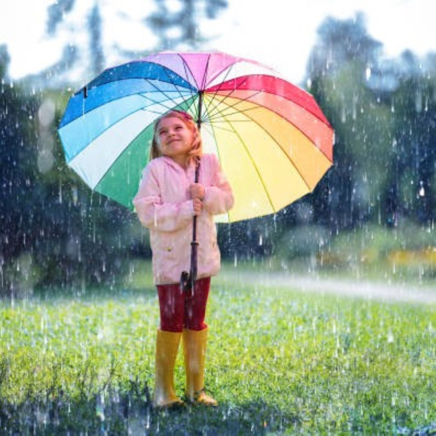 "Der Schatz unter dem Regenschirm"