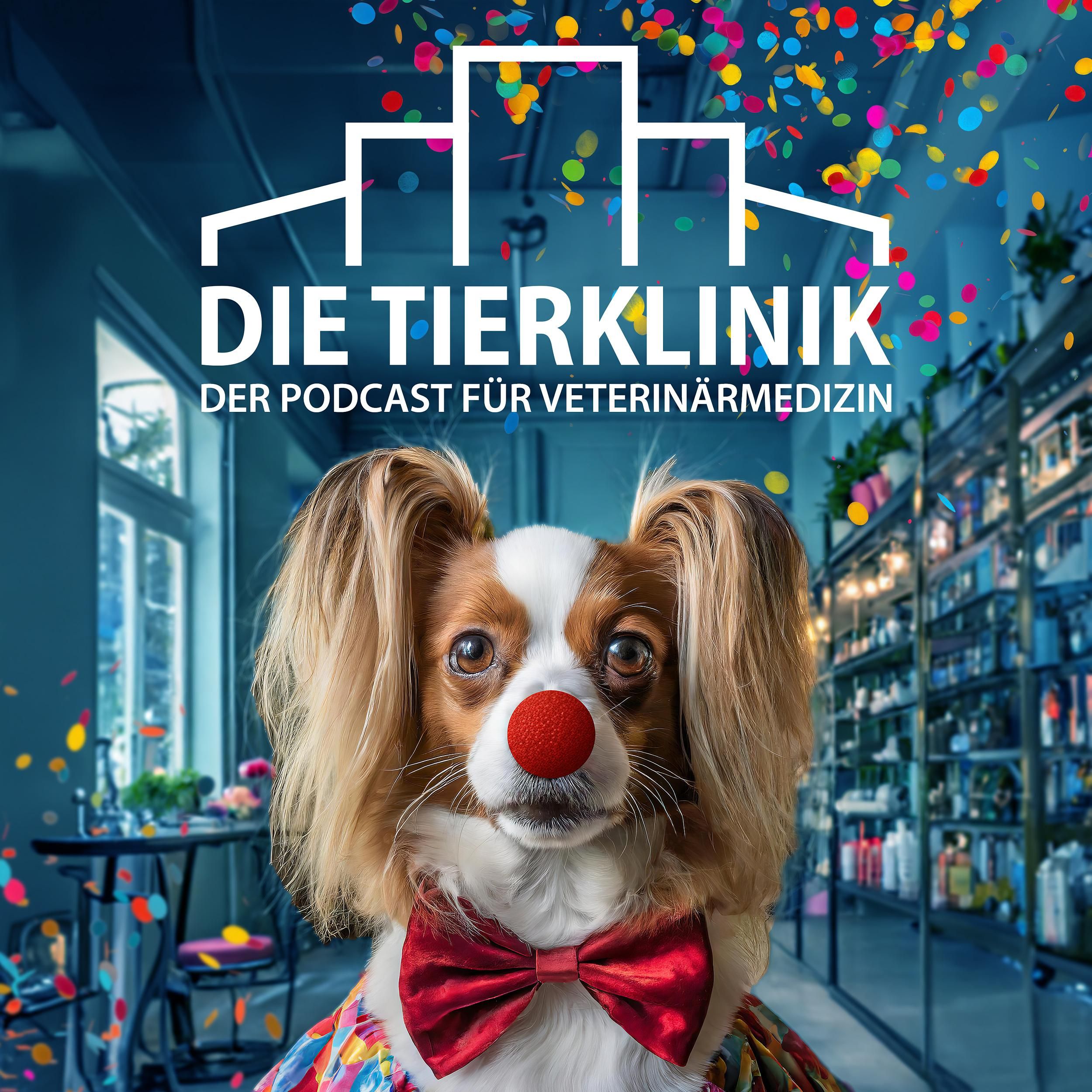 #11 Karnevalsspecial: Tierfrisuren