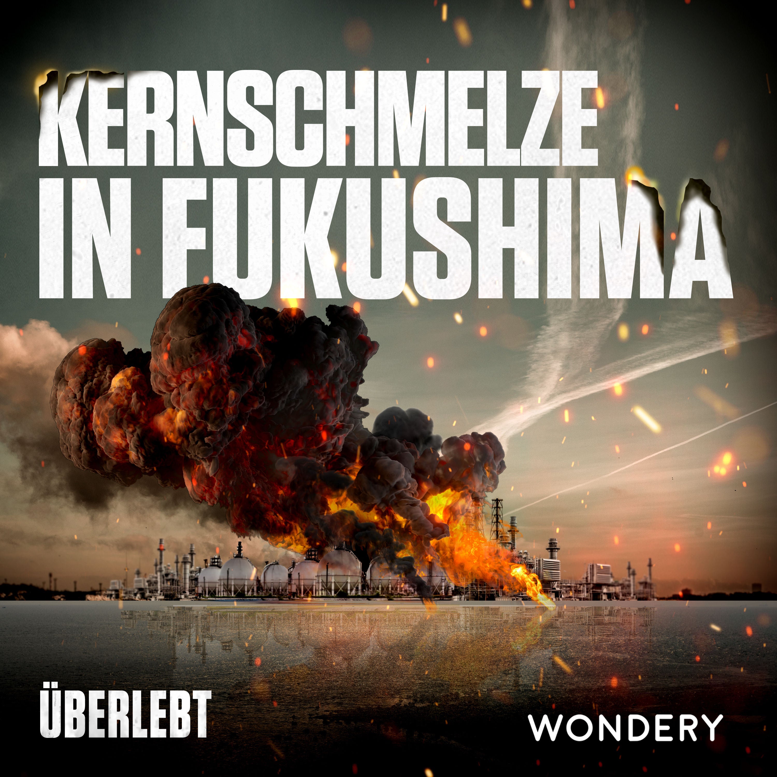 Kernschmelze in Fukushima | Dreifachkatastrophe | 1