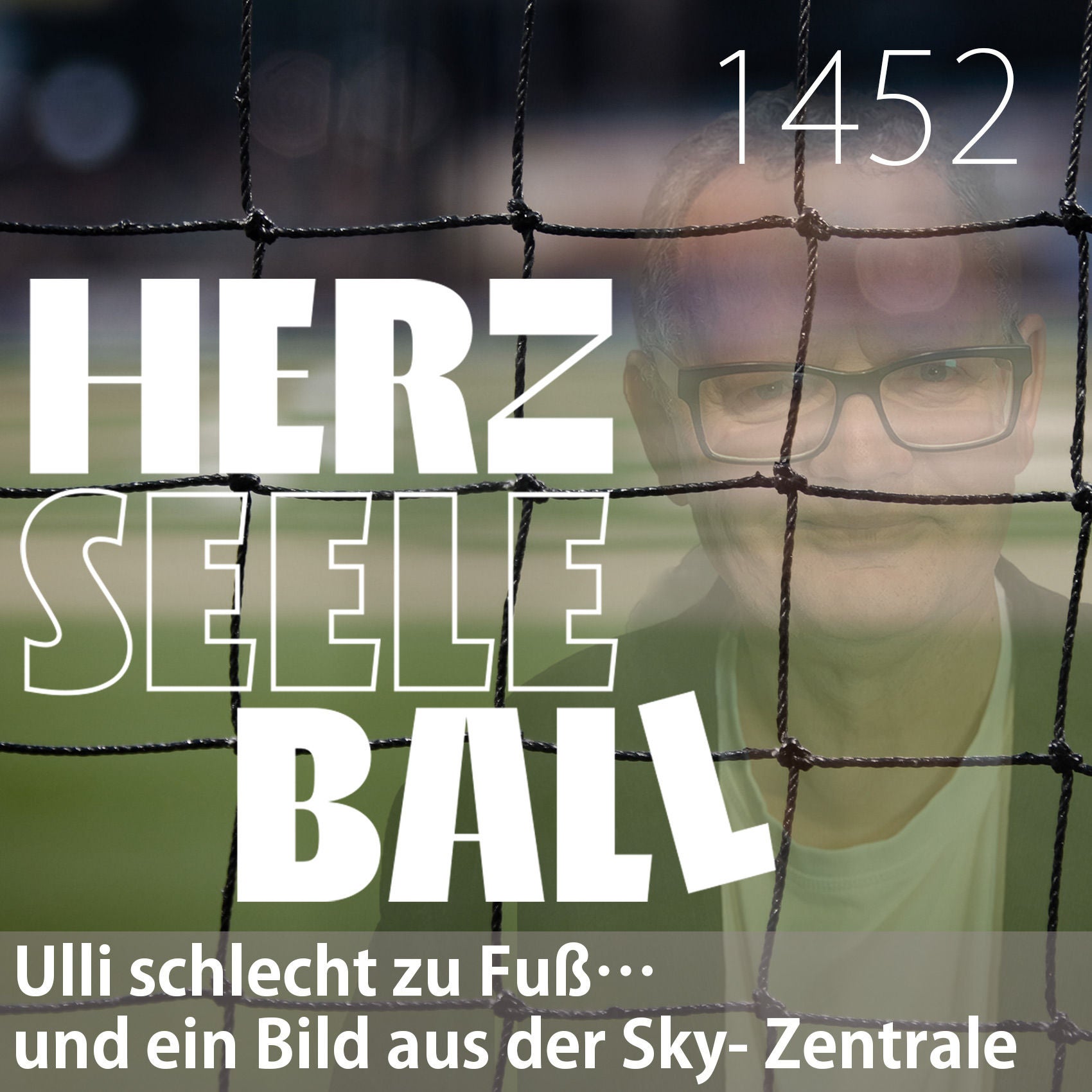 Herz • Seele • Ball • Folge 1452