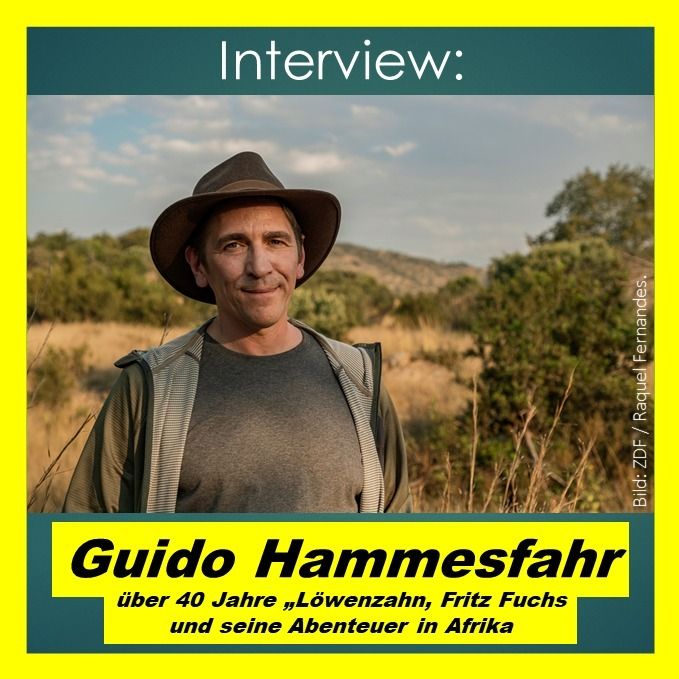 Guido Hammesfahr über „40 Jahre Löwenzahn“ - Interview
