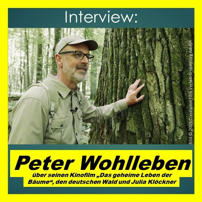 Peter Wohlleben über "Das geheime Leben der Bäume"- Interview