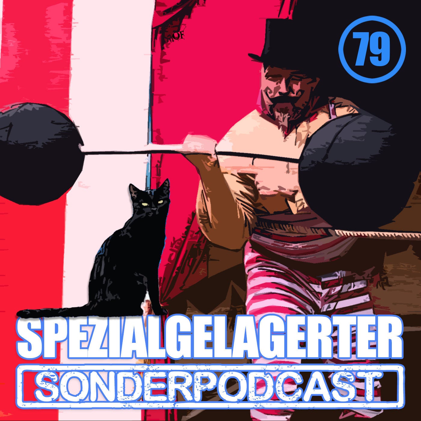 SSP #79: Die drei ??? und die schwarze Katze (4) mit Toby Baier
