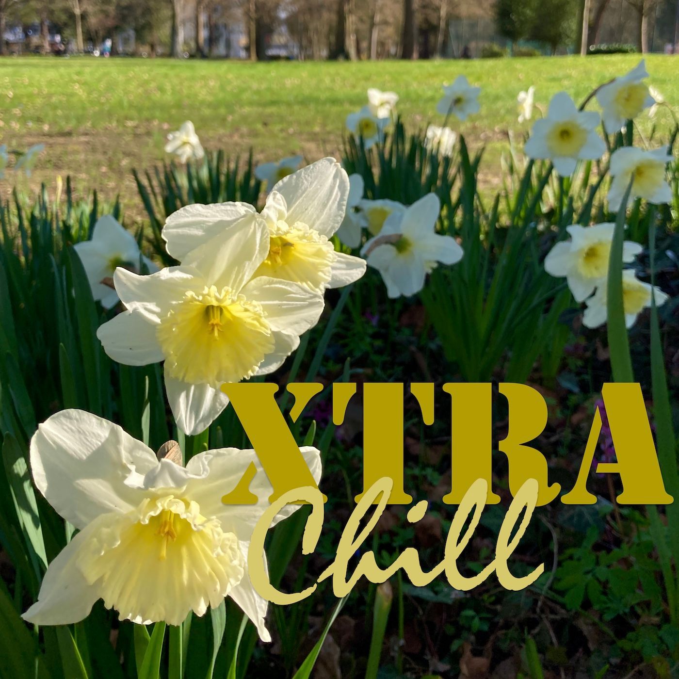 XtraChill 435