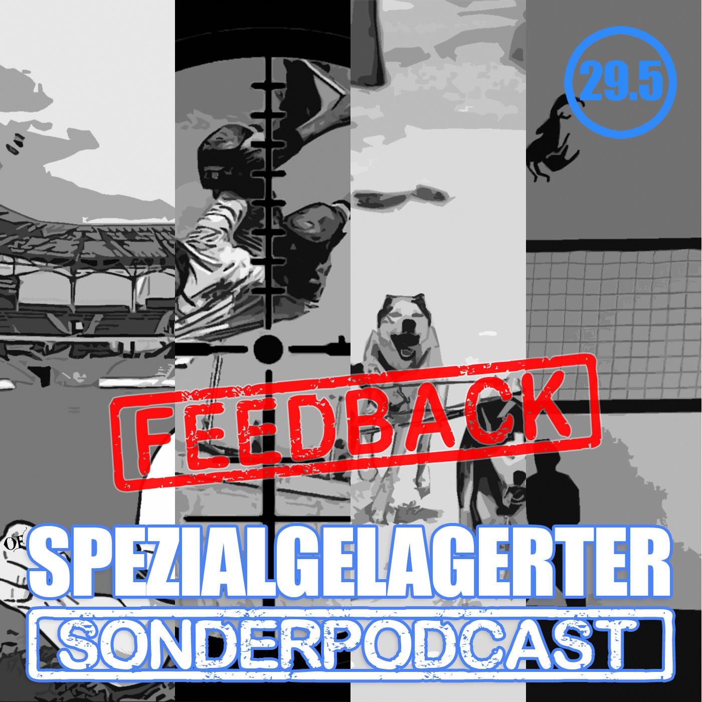 SSP #29.5: Skateboardene Eisskorpione - Das Sonderfeedback
