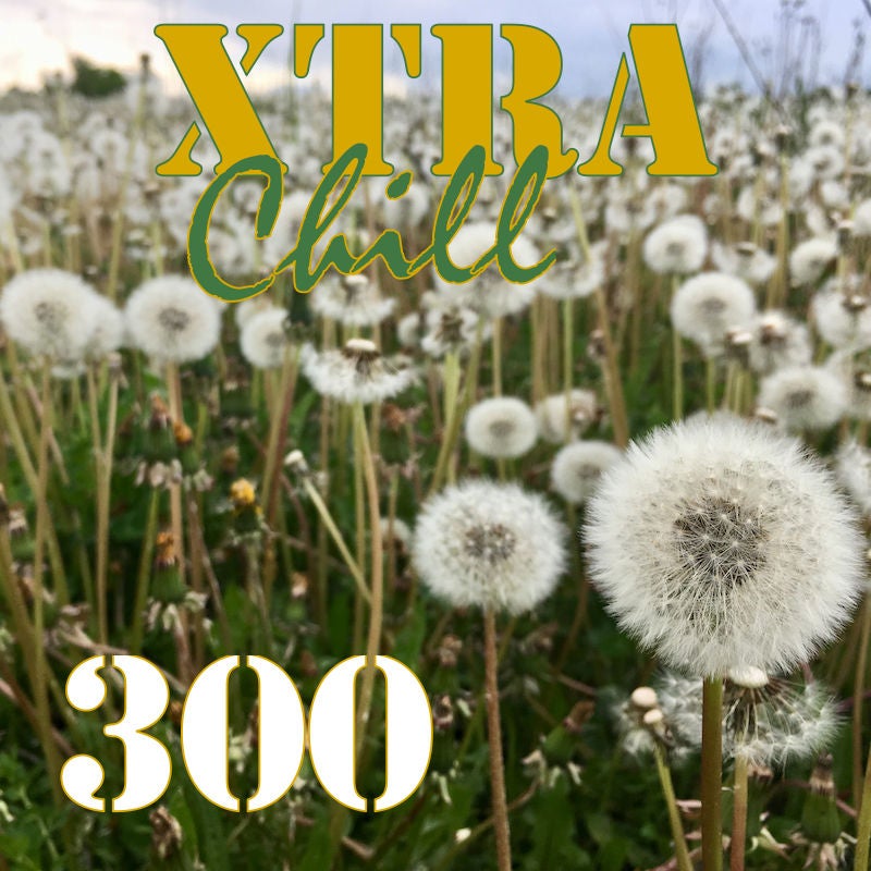 XtraChill 300