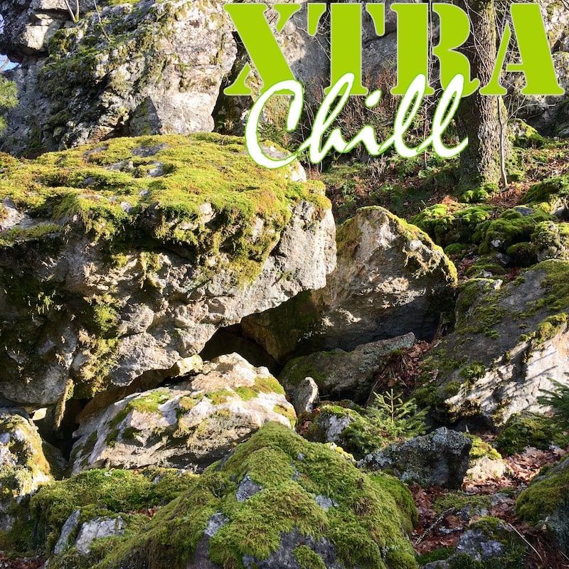 XtraChill 270