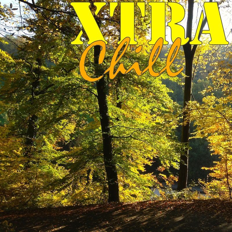 XtraChill 240