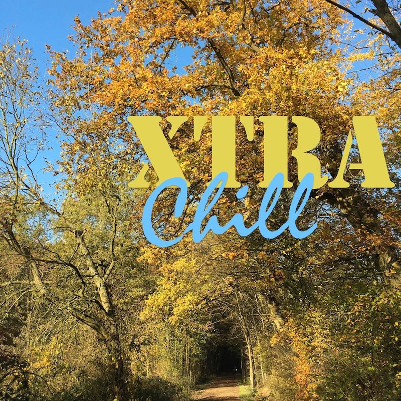 XtraChill 311