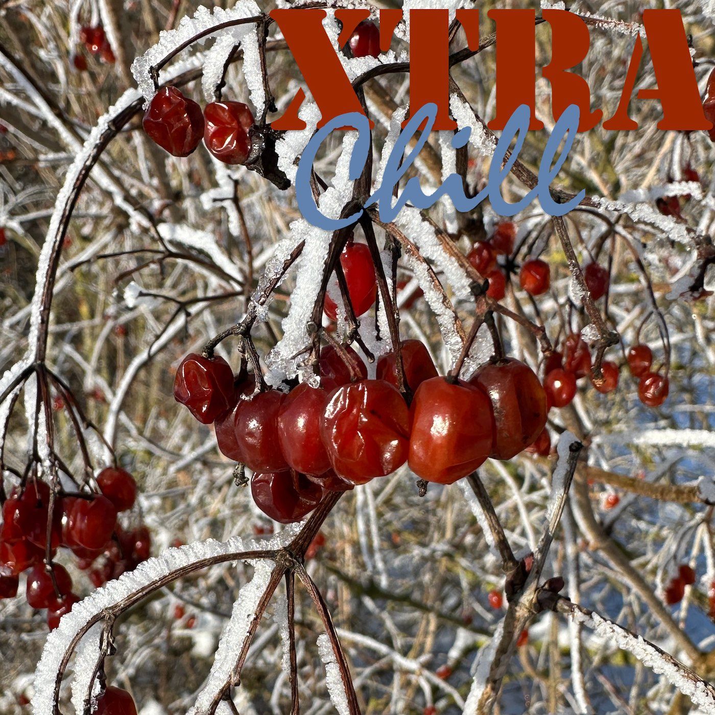 XtraChill 408