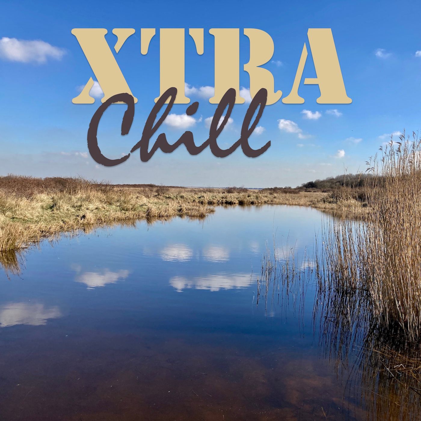 XtraChill 381