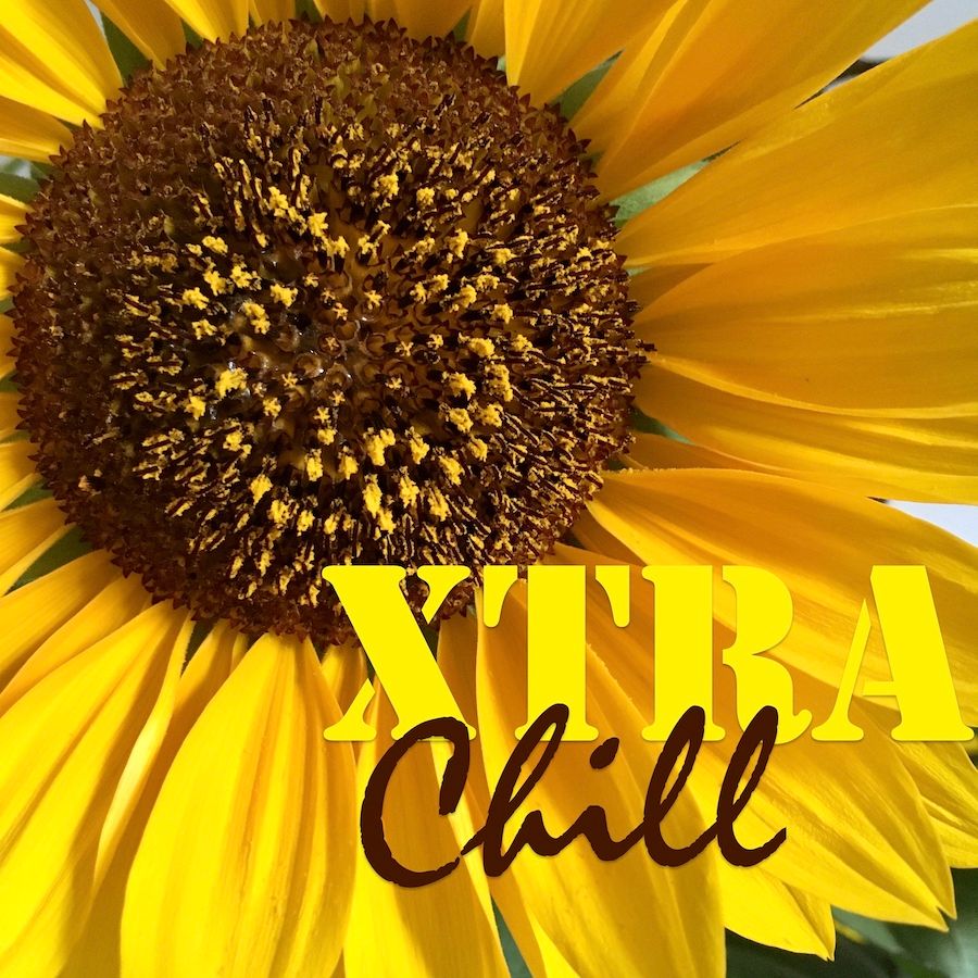 XtraChill 330