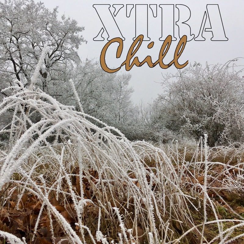 XtraChill 294