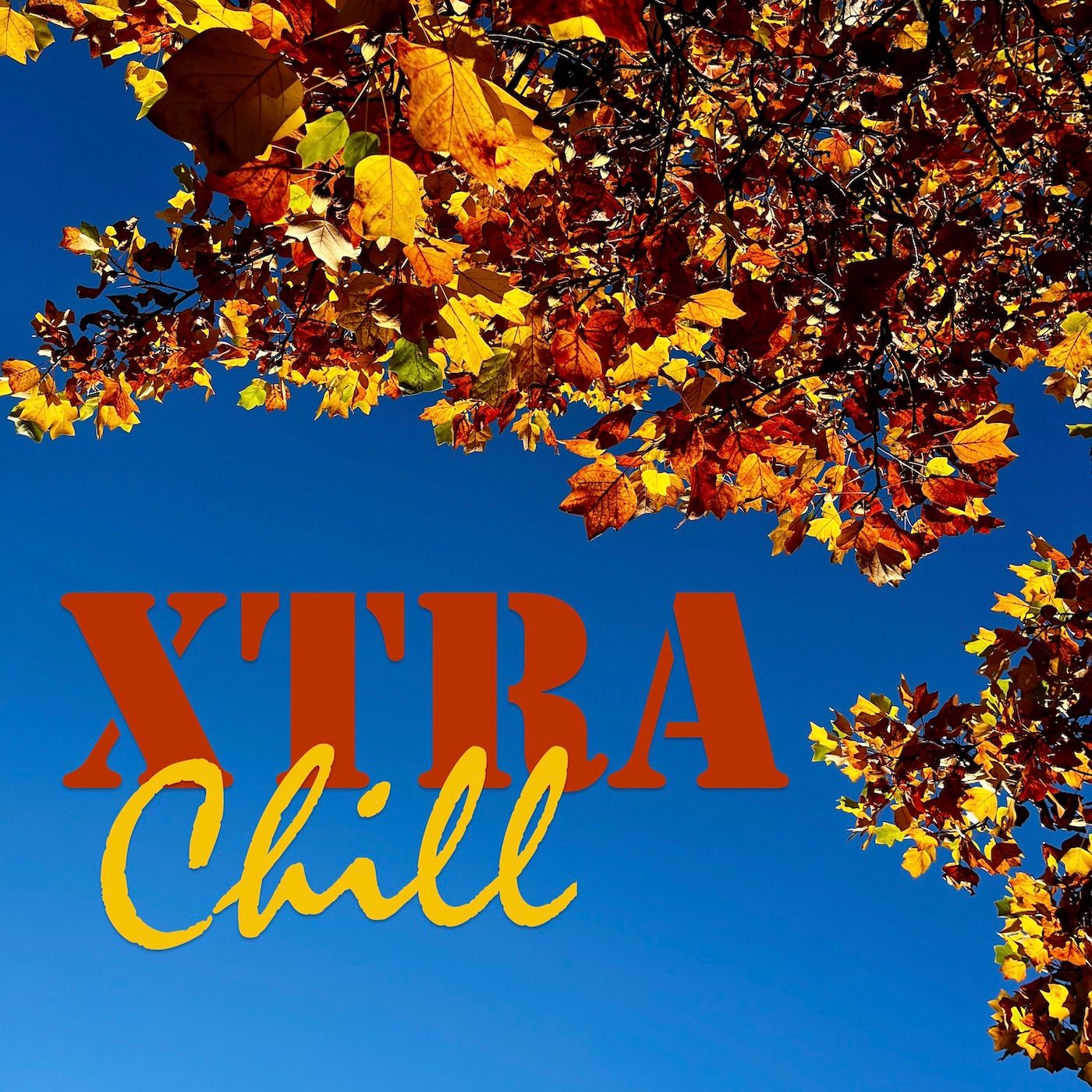 XtraChill 426