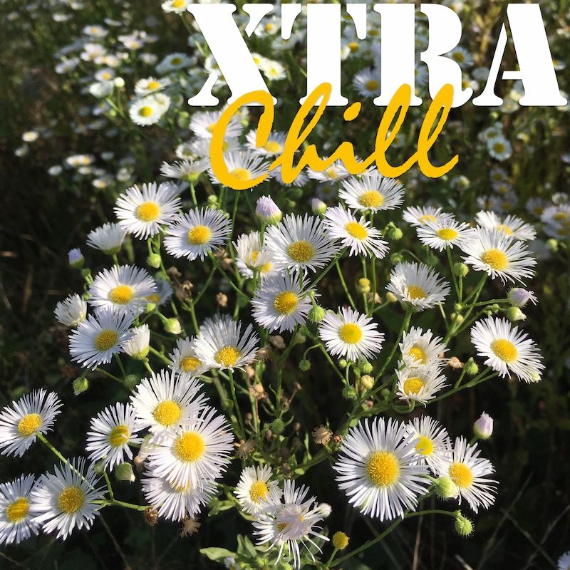 XtraChill 319