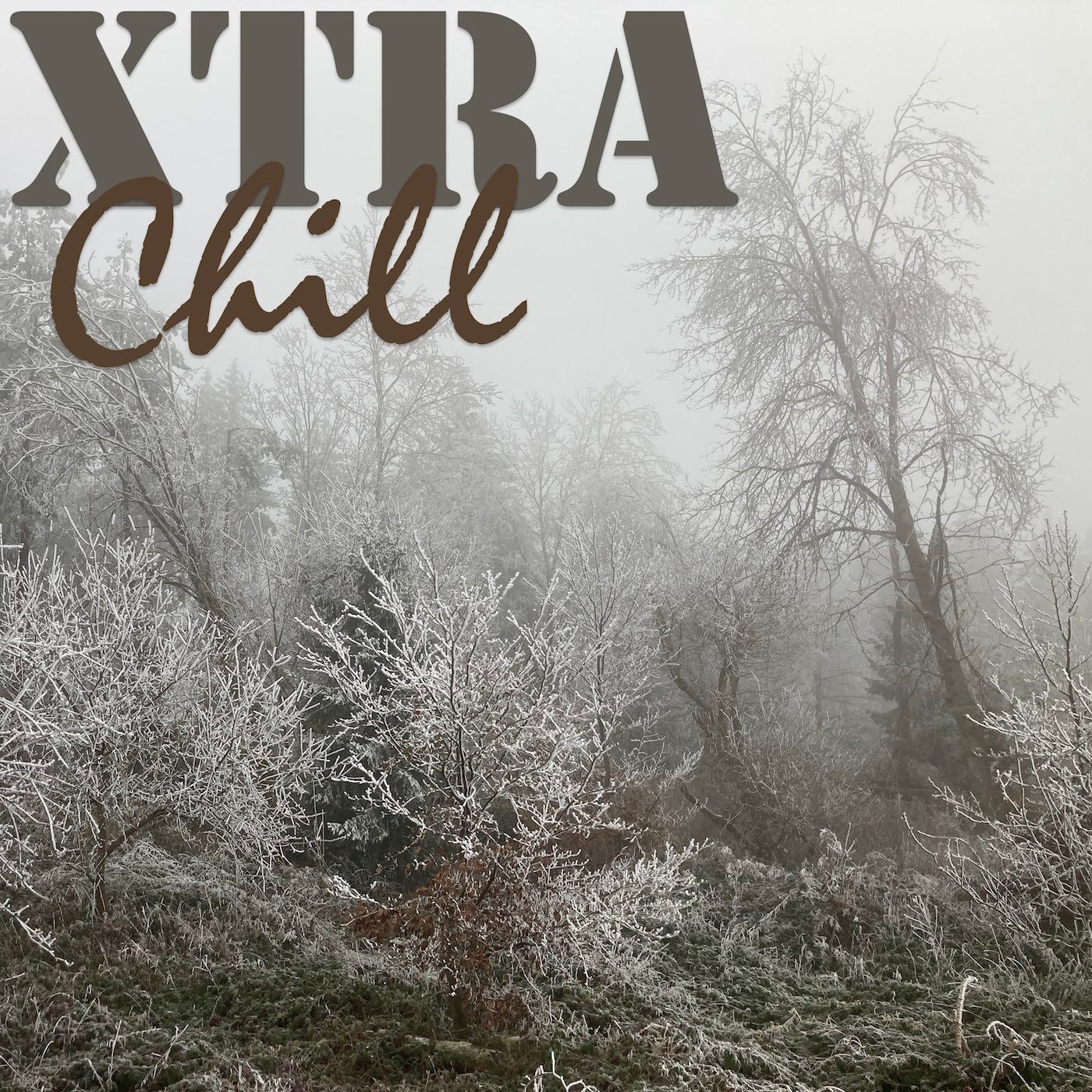 XtraChill 430