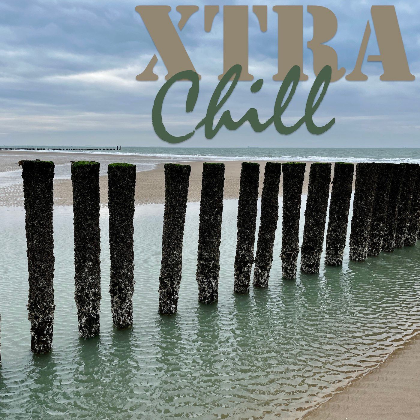 XtraChill 431
