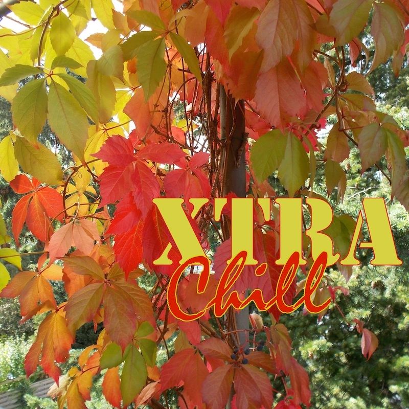 XtraChill 263