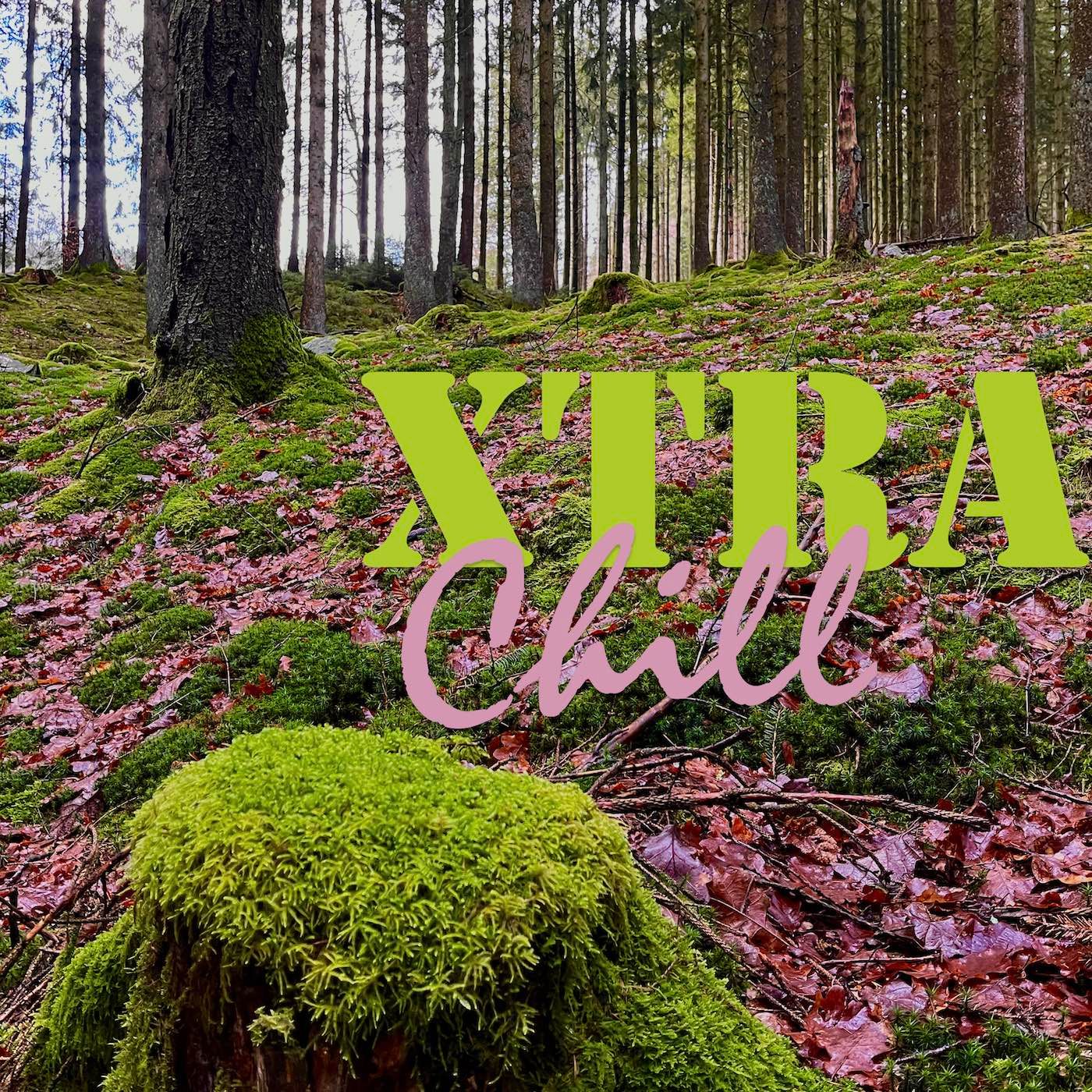 XtraChill 411
