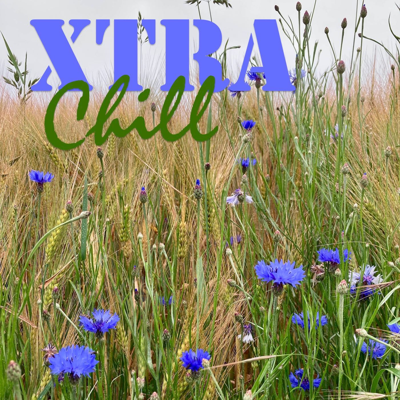 XtraChill 417