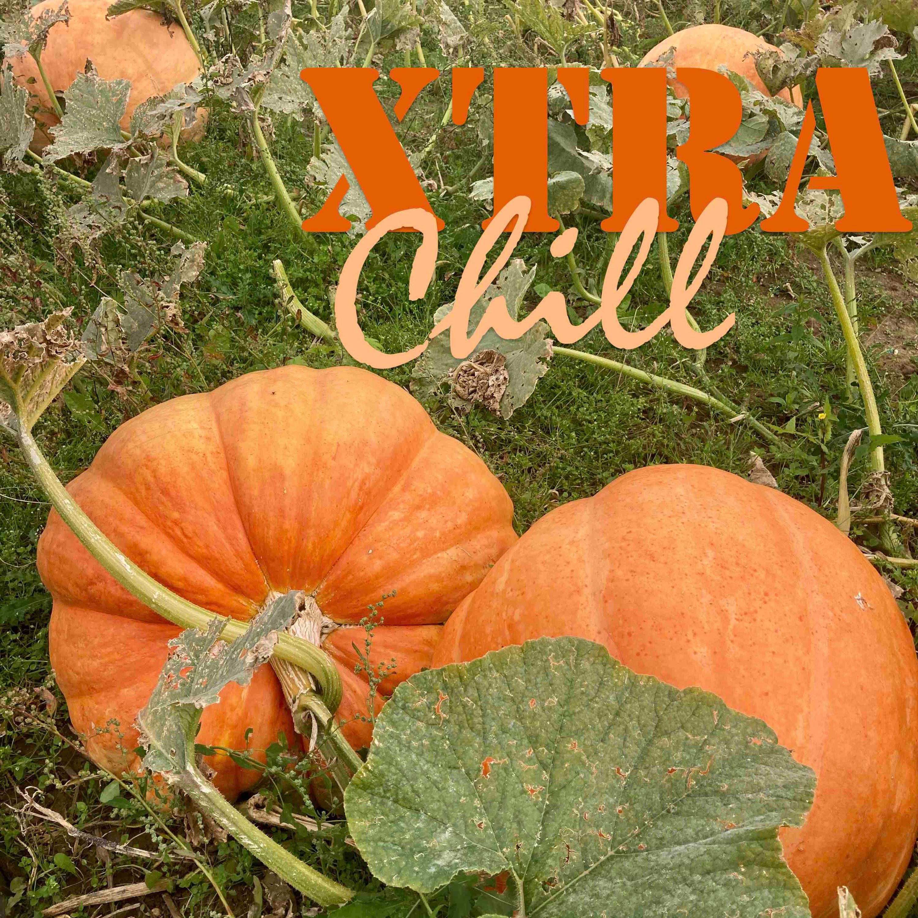 XtraChill 425