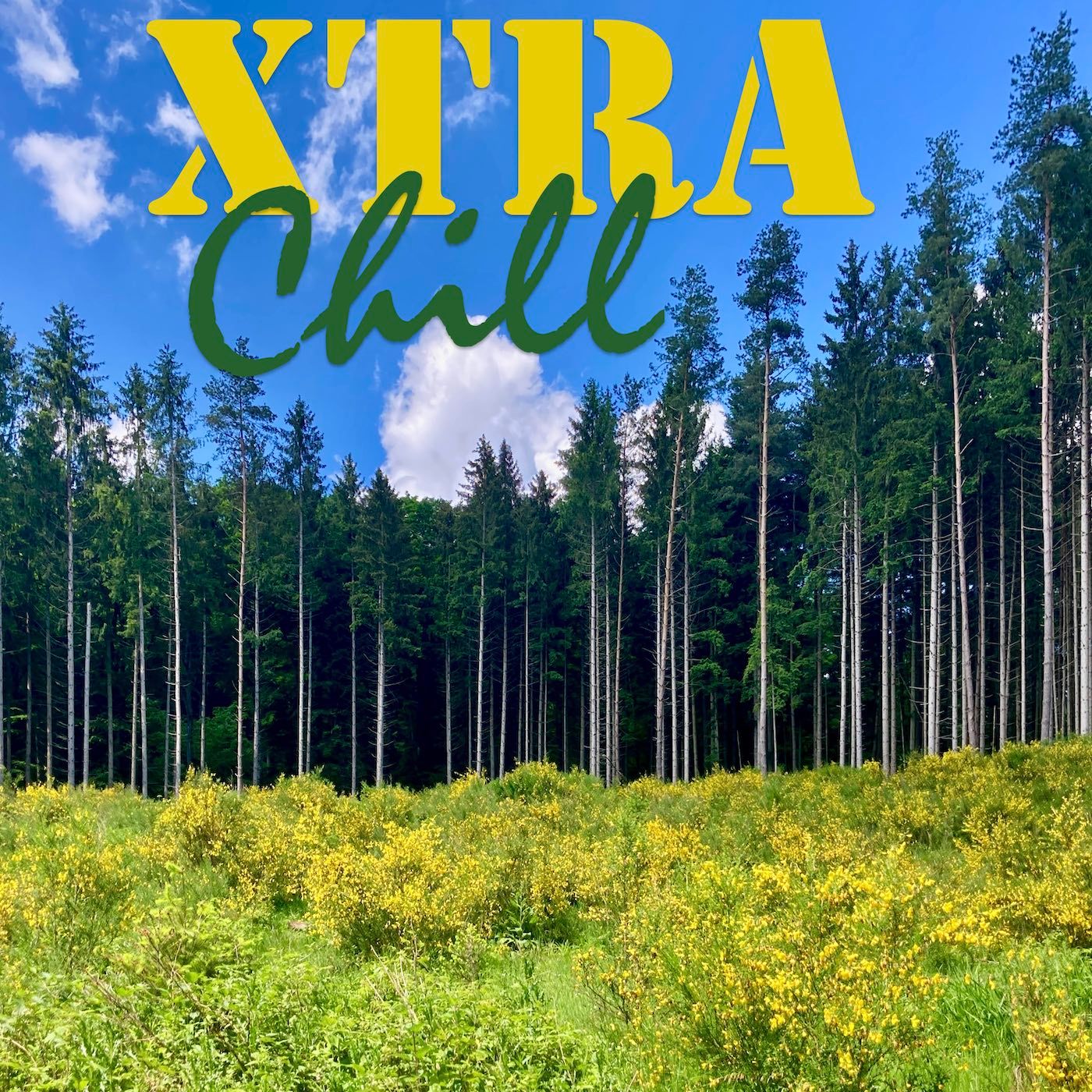 XtraChill 416