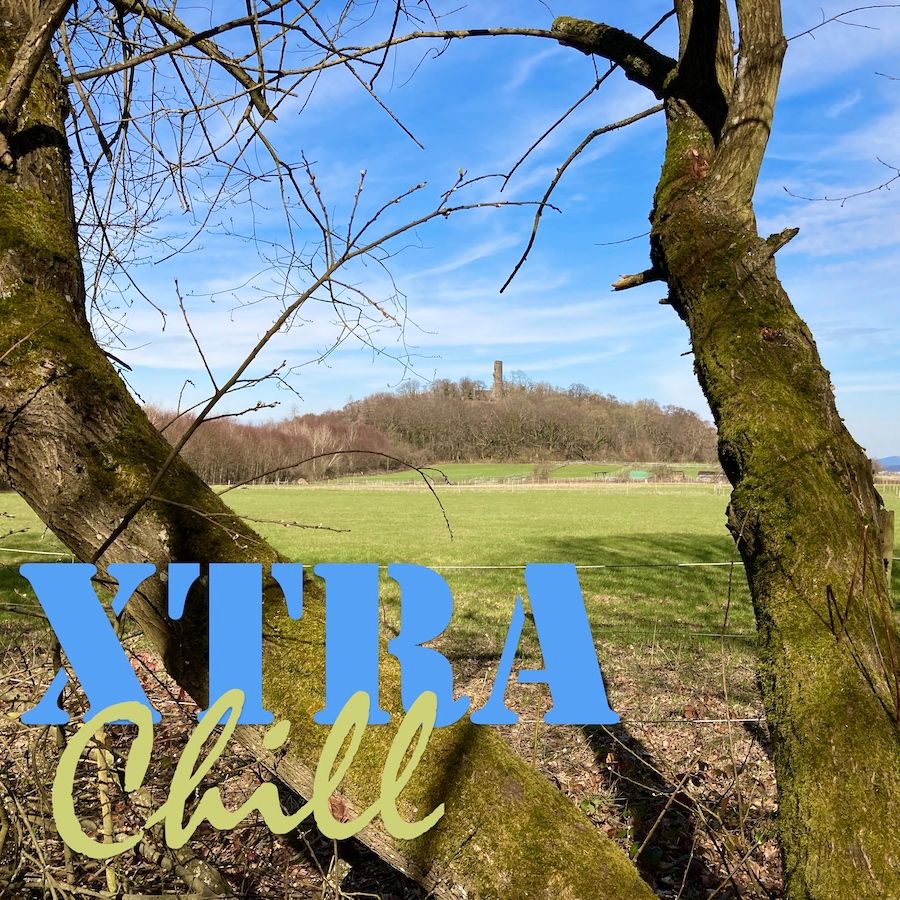 XtraChill 343