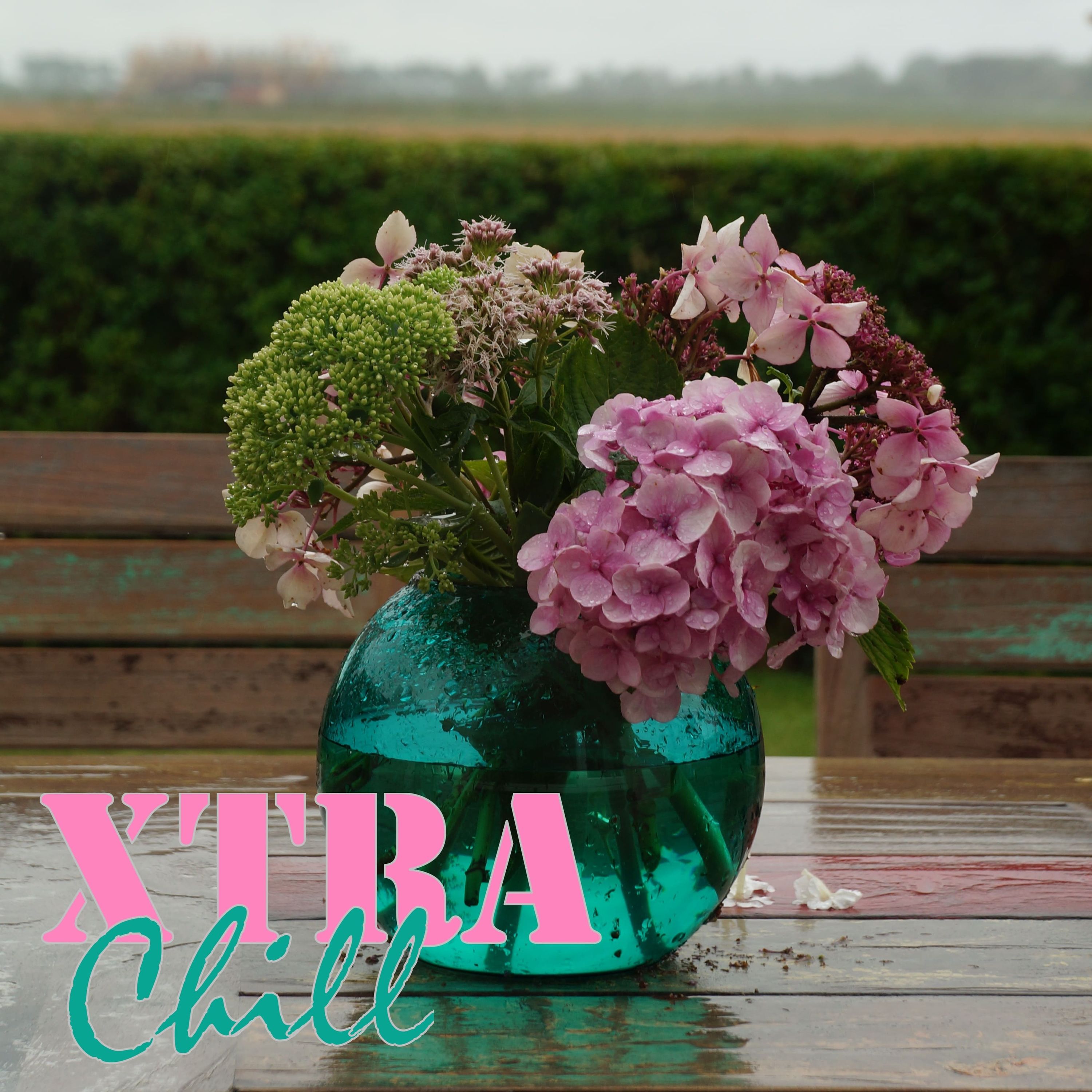 XtraChill 234