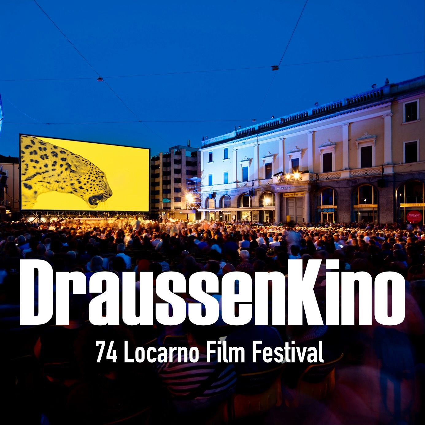 Art of Molecule at the Locarno Film Festival #3