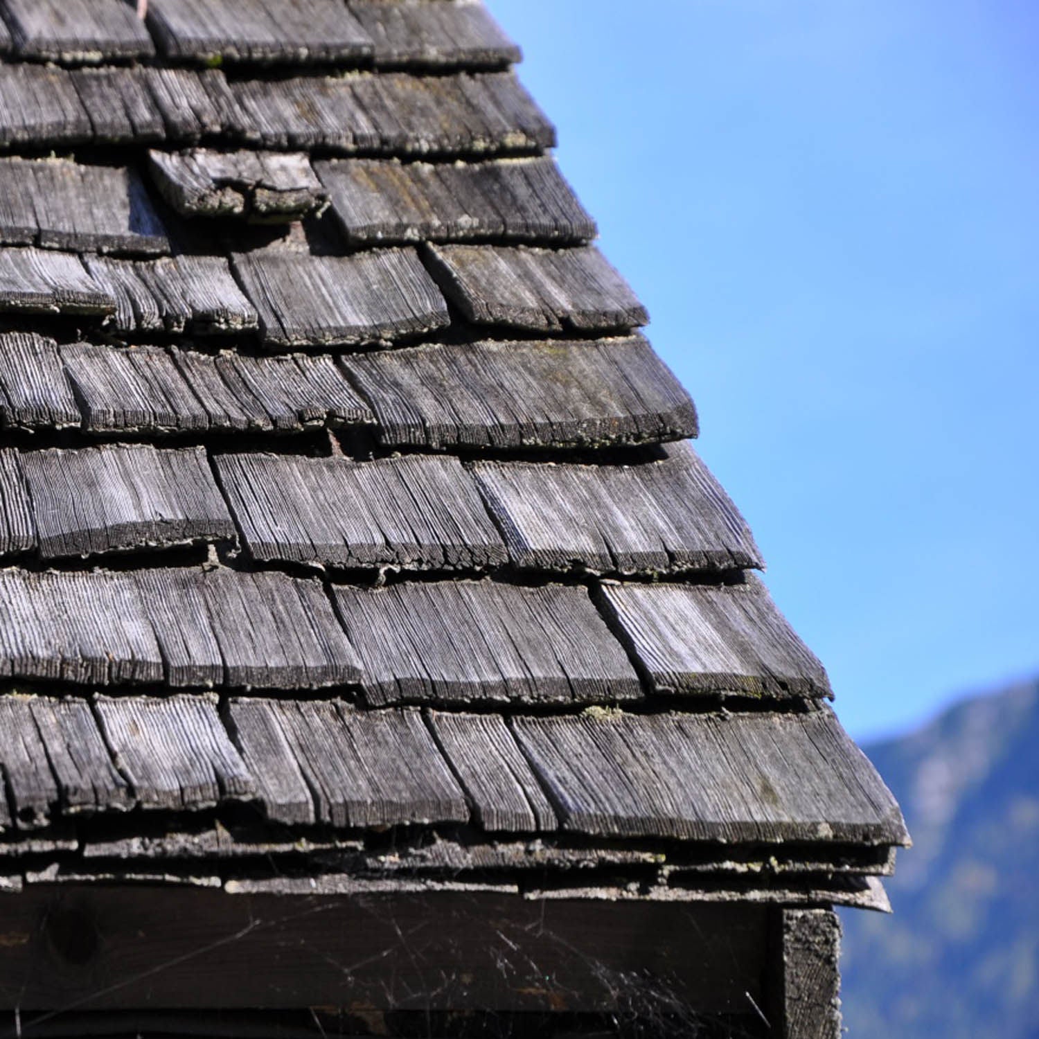 Holzschindel