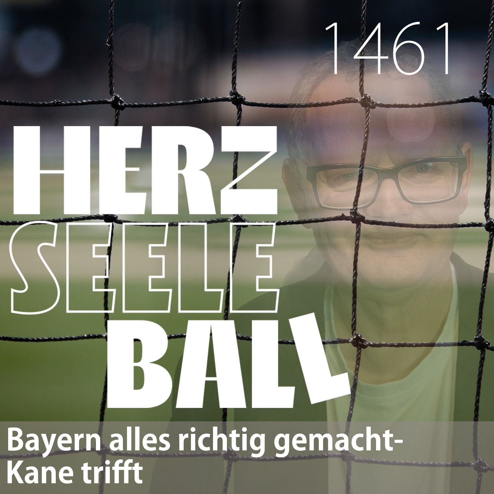 Herz • Seele • Ball • Folge 1461