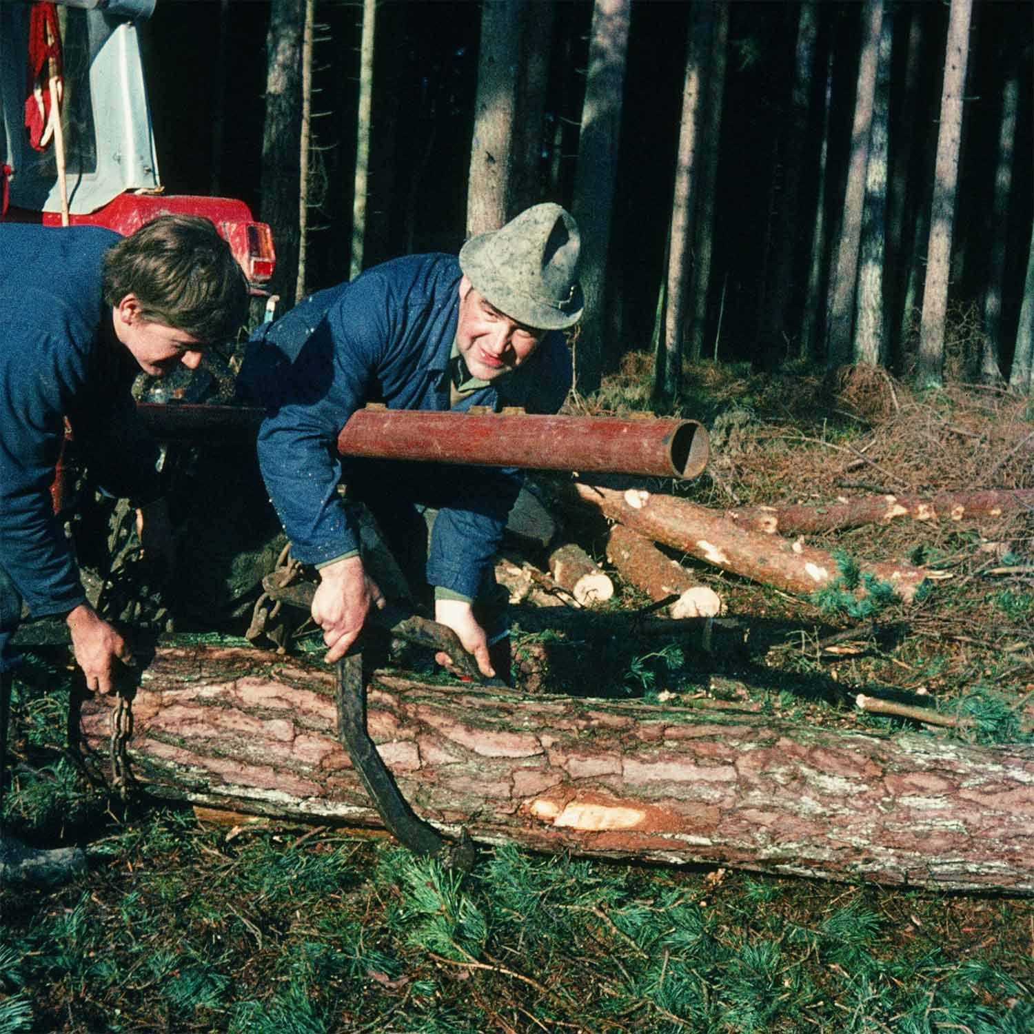 Holzfällen