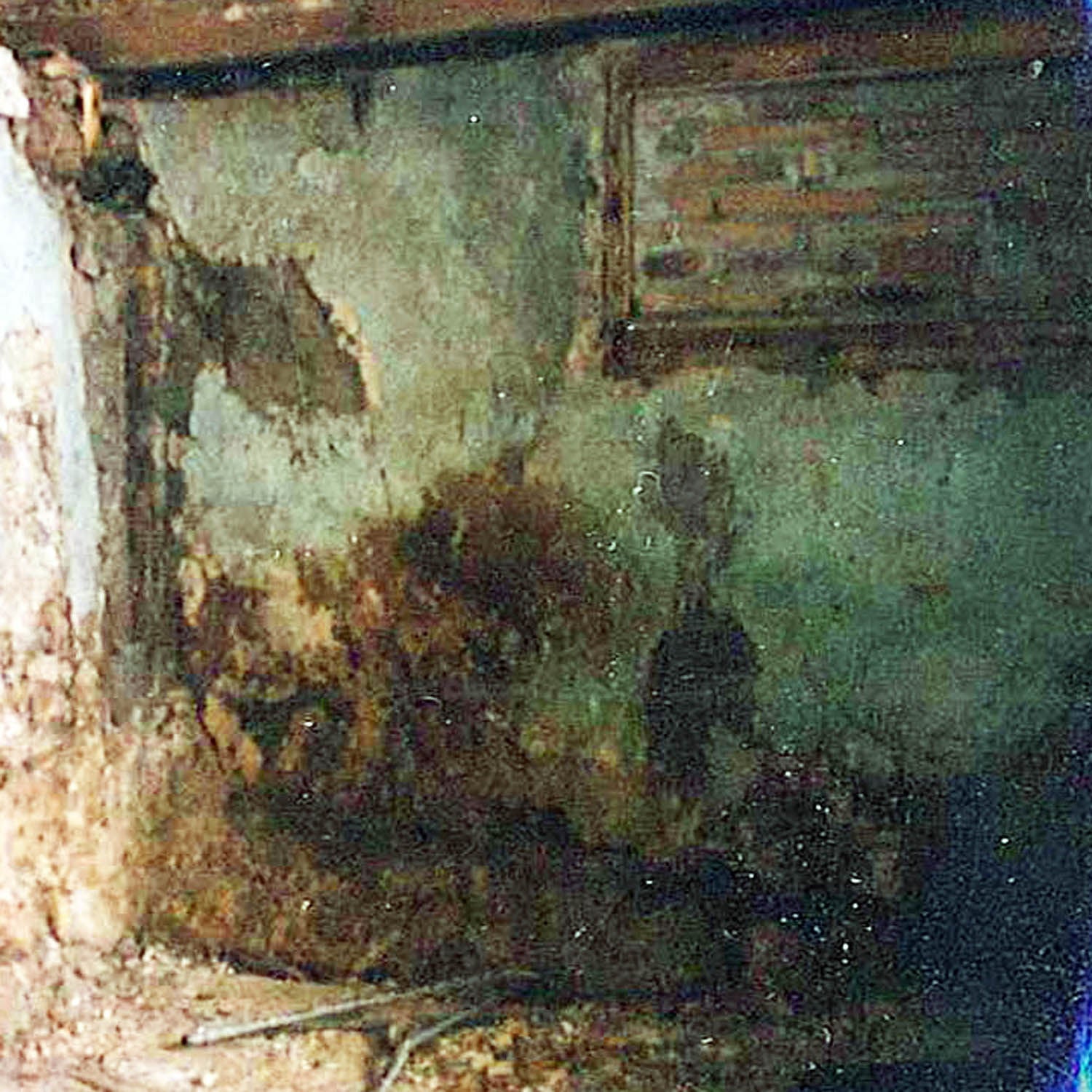 Gespräch über Mauertrockenlegung