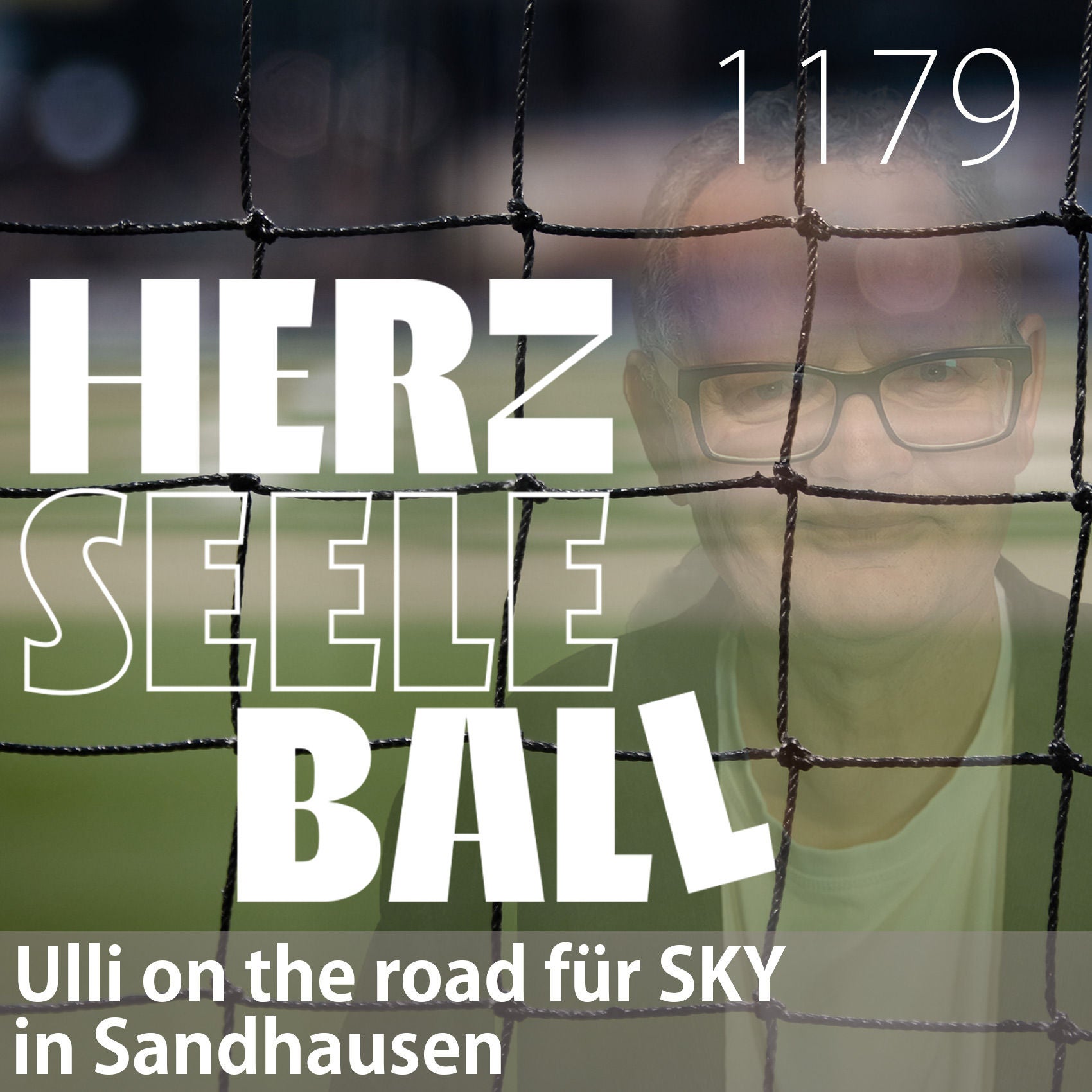 Herz • Seele • Ball • Folge 1179
