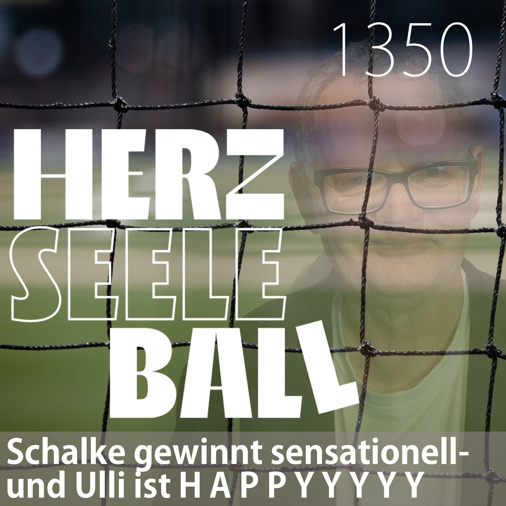 Herz • Seele • Ball • Folge 1350