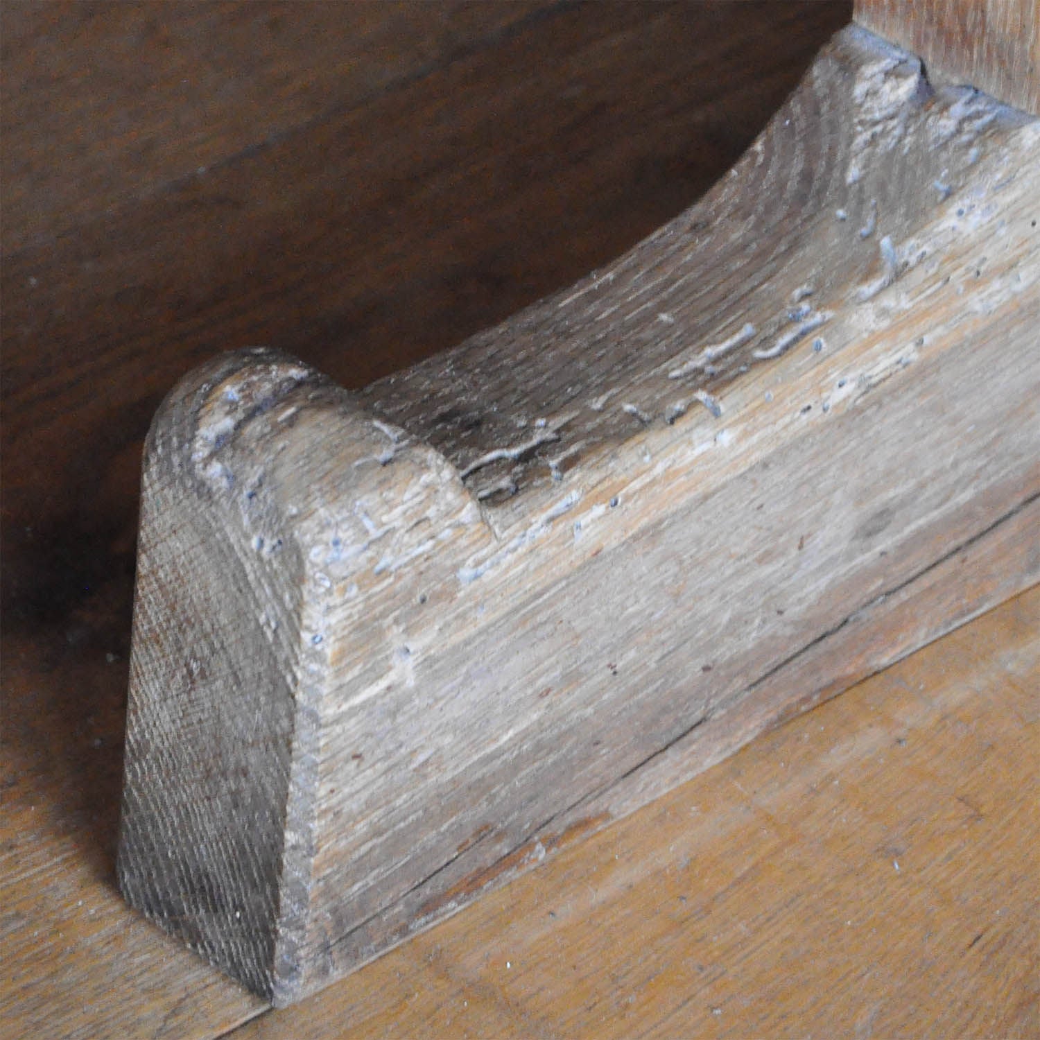 Holzwürmer