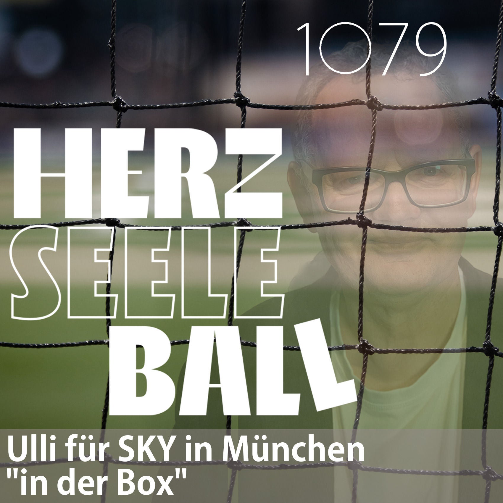 Herz • Seele • Ball • Folge 1079