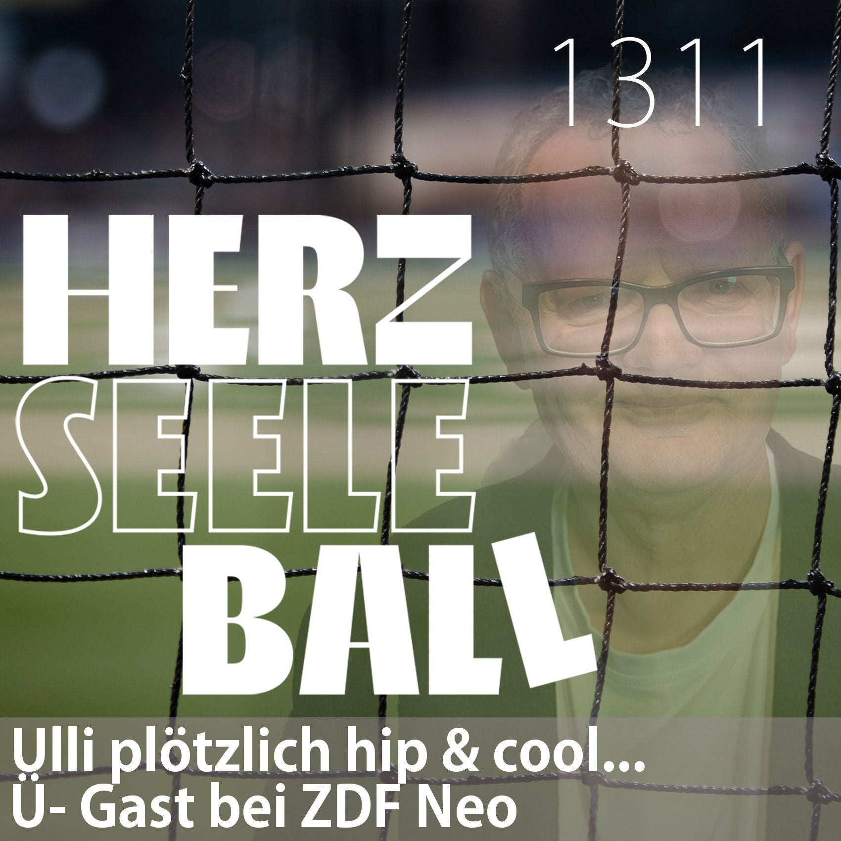 Herz • Seele • Ball • Folge 1311