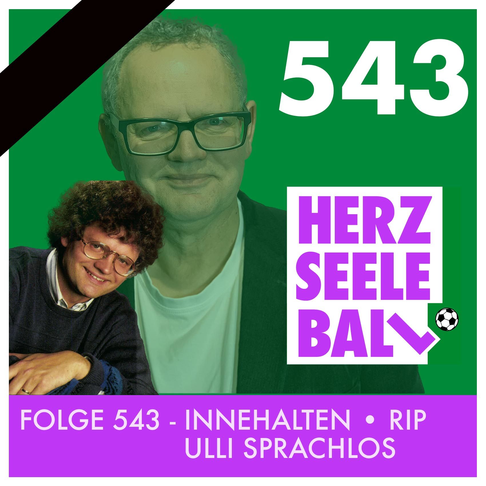 Herz • Seele • Ball - Folge 543