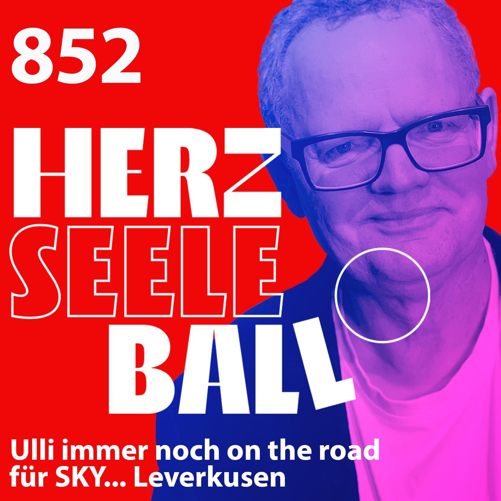 Herz • Seele • Ball • Folge 852