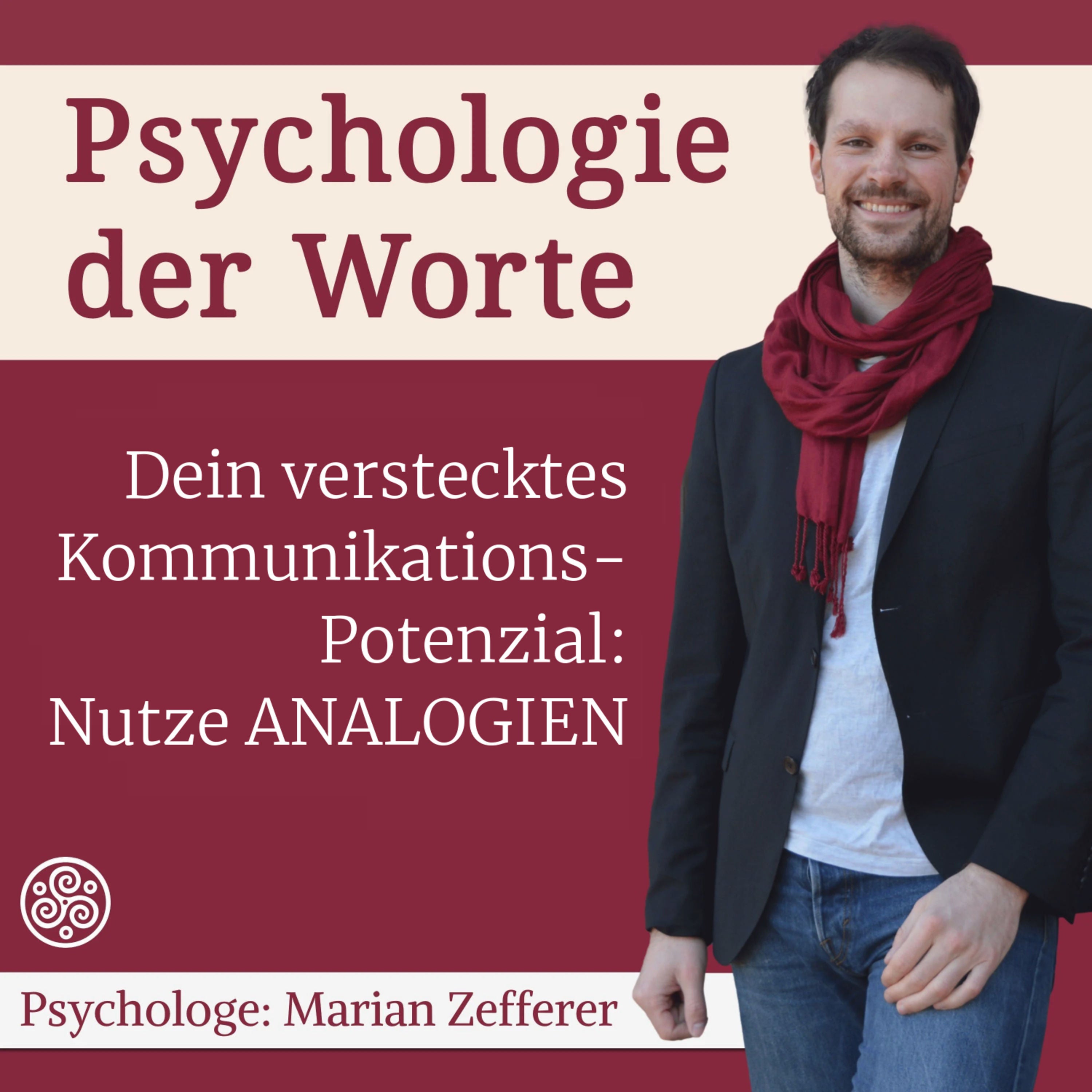 Wie Analogien Dein Leben bereichen & Dich intelligenter machen (#088))