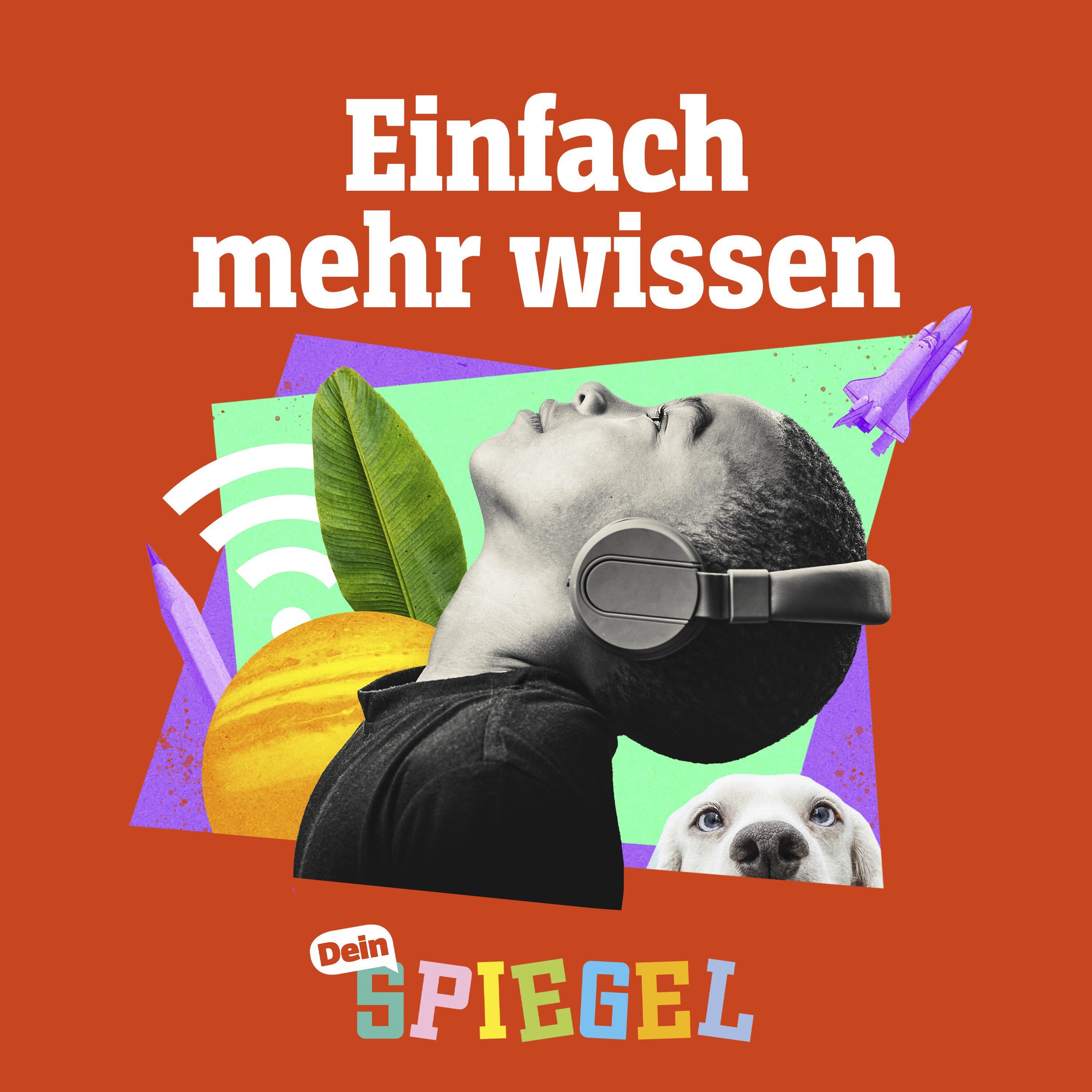 Beruf Bäcker: 2000 Schwarzbrote pro Tag
