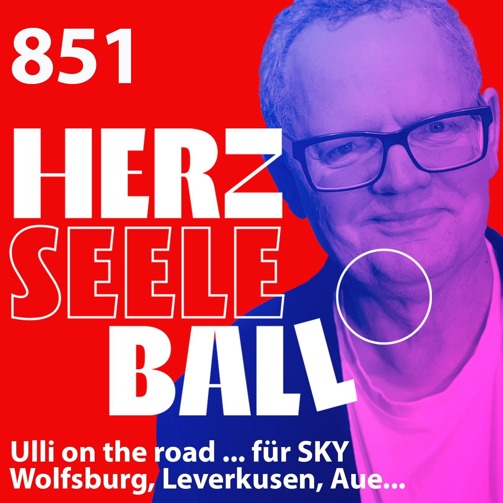 Herz • Seele • Ball • Folge 851