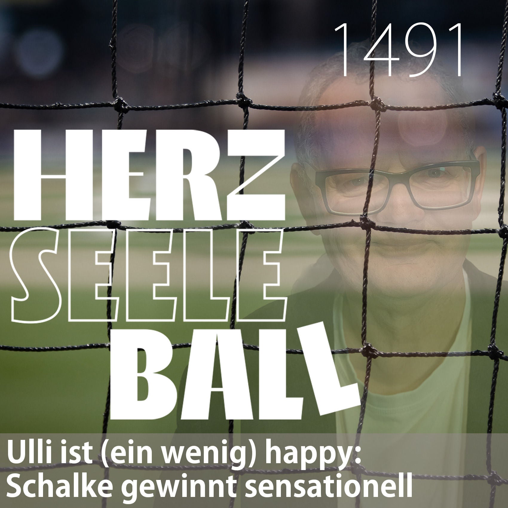 Herz • Seele • Ball • Folge 1491