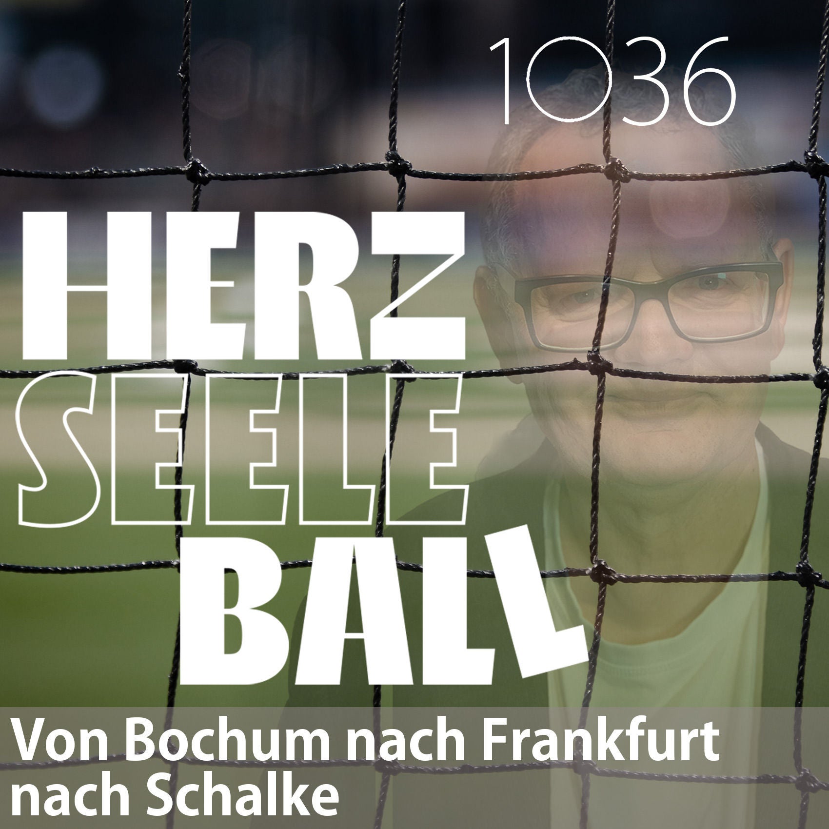 Herz • Seele • Ball • Folge 1036