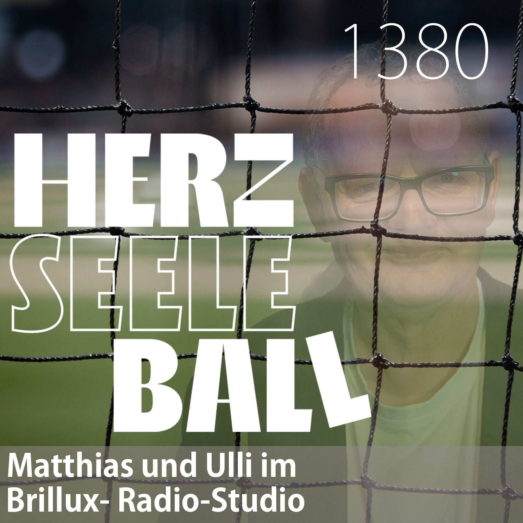 Herz • Seele • Ball • Folge 1380