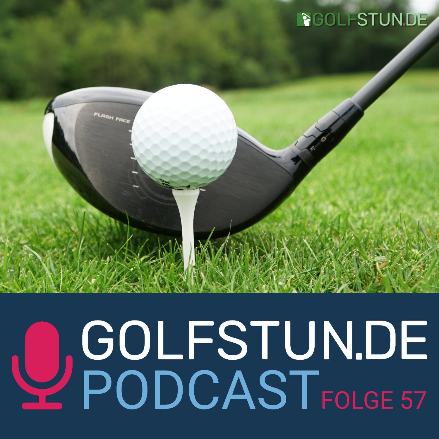 #57 Die Auswahl des Drivers