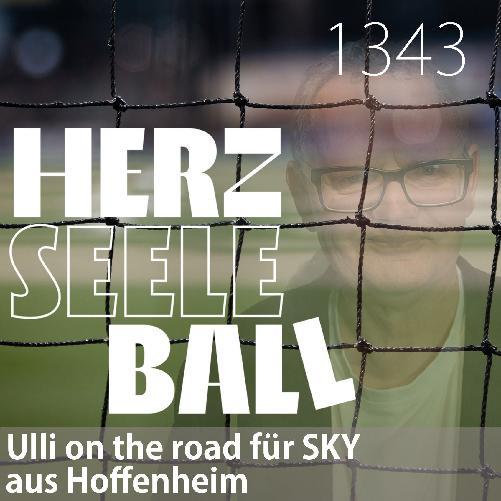 Herz • Seele • Ball • Folge 1343